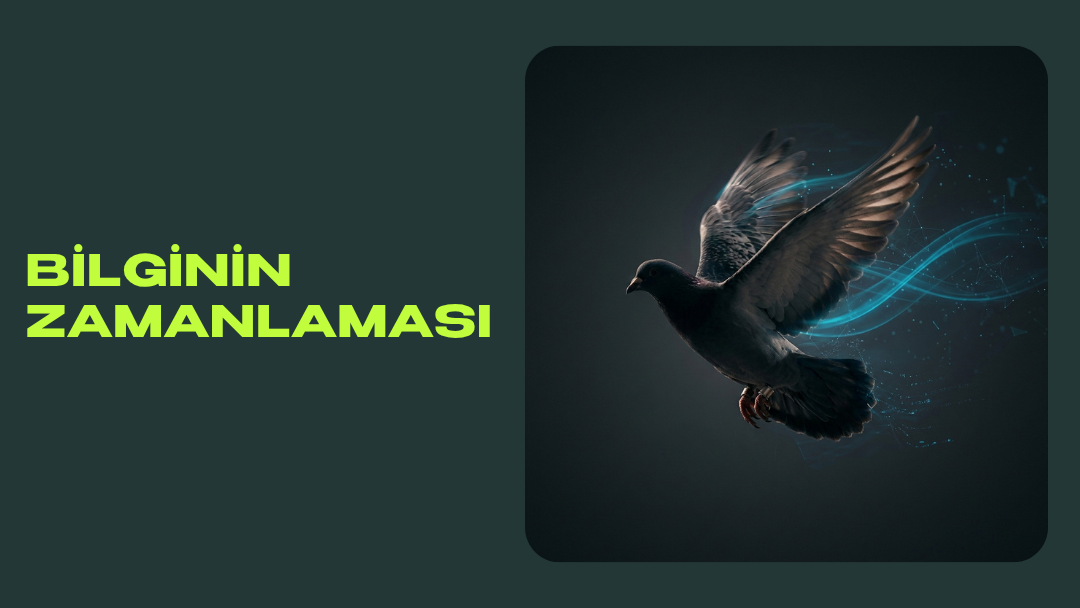 Bilginin Zamanlaması